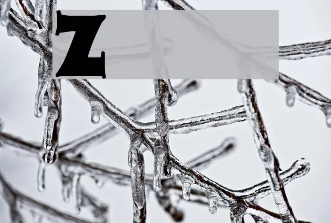 Zaleski Example 2