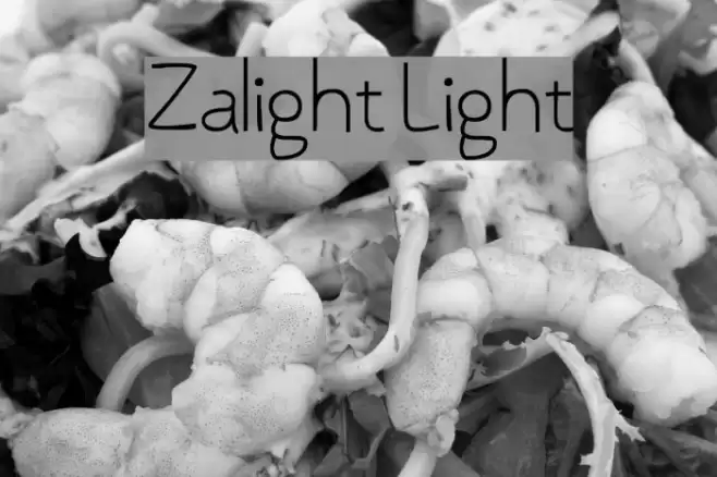 Zalight Light Font examples
