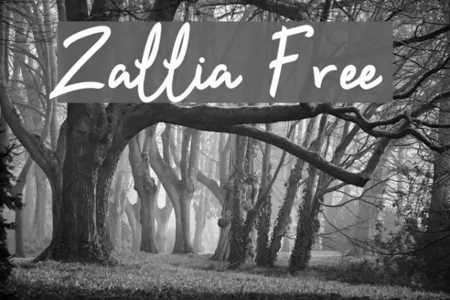 Zallia Free Font examples