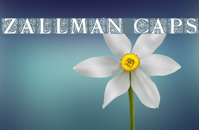 Zallman Caps Font examples