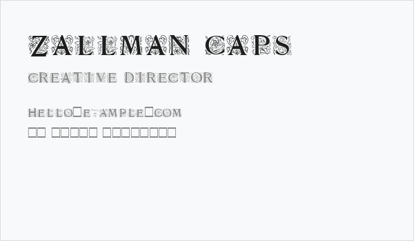 Zallman Caps Business Card