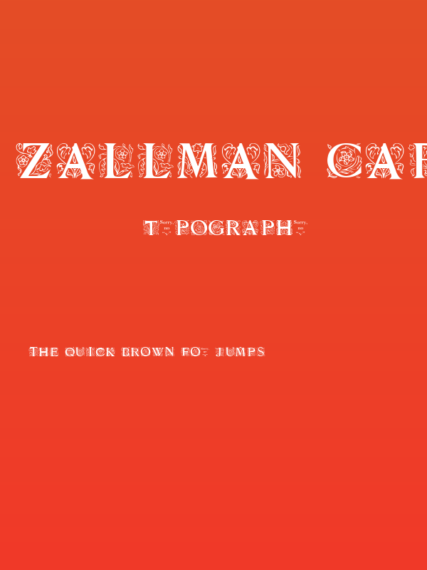 Zallman Caps Poster
