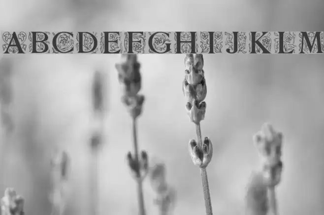 ZallmanCaps Fonte examples