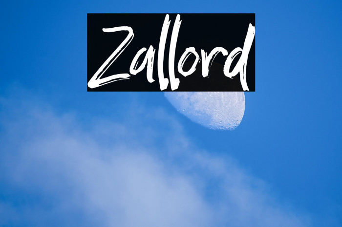 Zallord Example 1