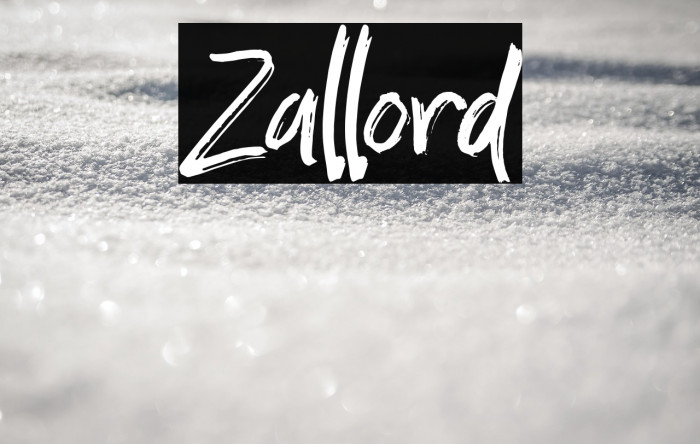 Zallord Example 3