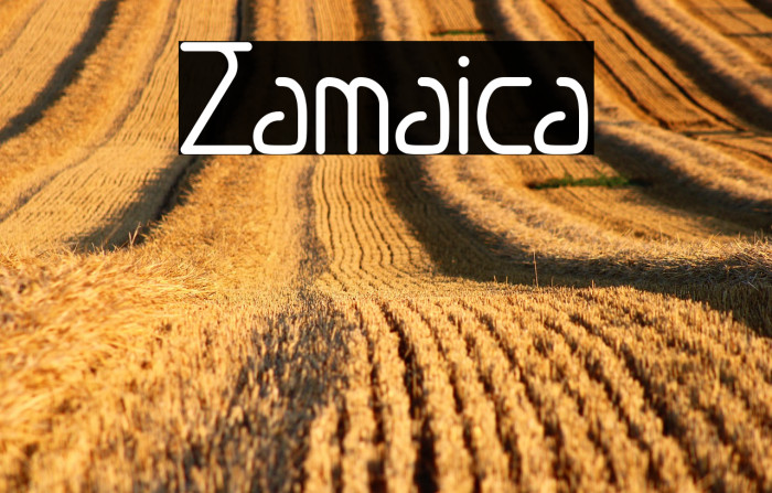 Zamaica Example 3