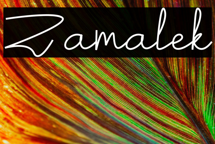 Zamalek Example 3