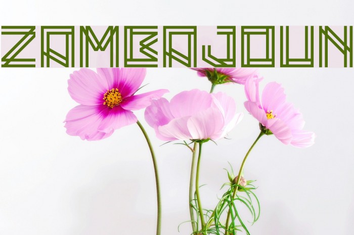 Zambajoun Font examples