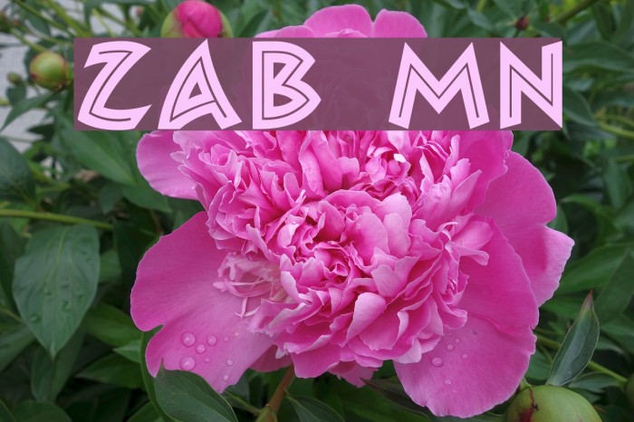Zambesi MN Font examples