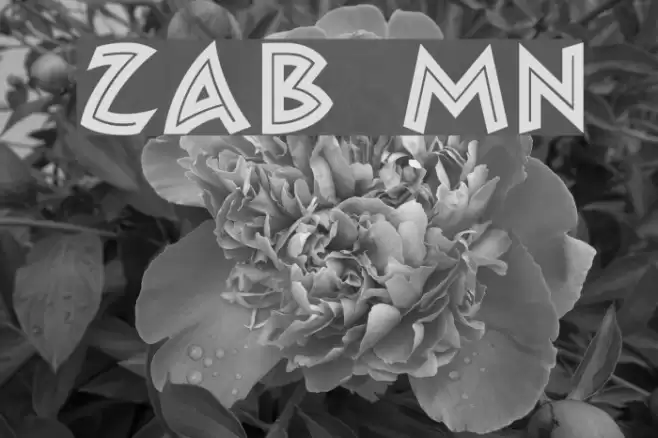 Zambesi MN Шрифта examples