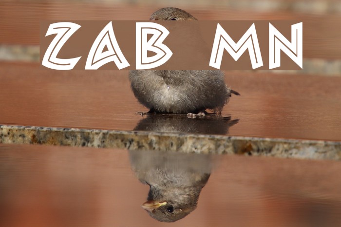 Zambesi MN Font examples