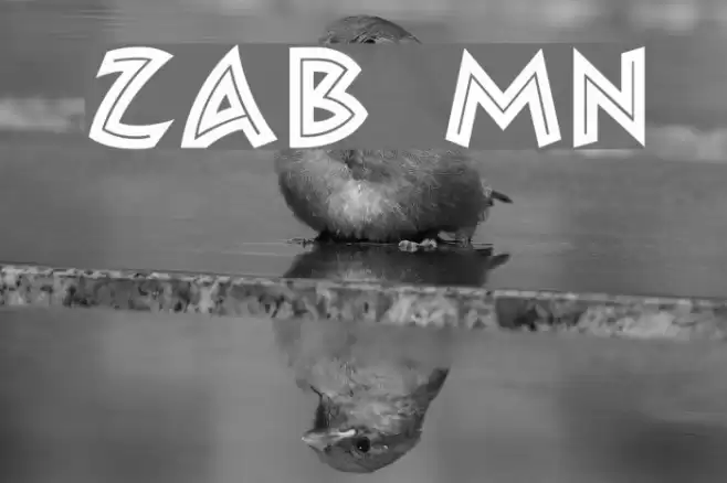 Zambesi MN Шрифта examples
