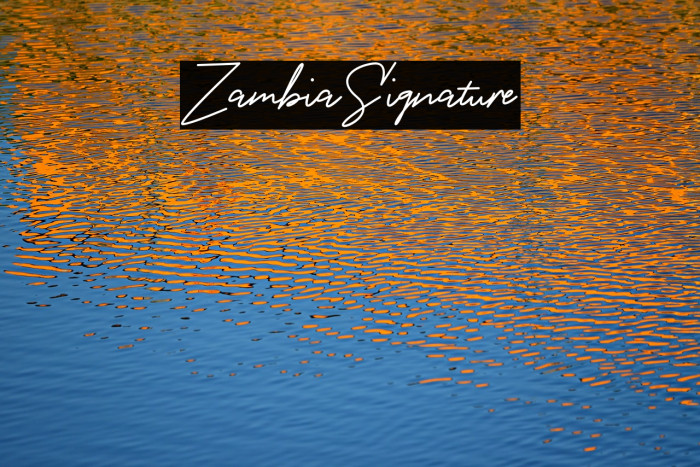 ZambiaSignature Example 1