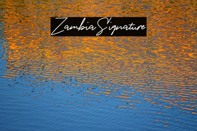 ZambiaSignature Example 1