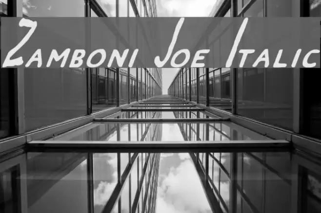 Zamboni Joe Italic フォント examples