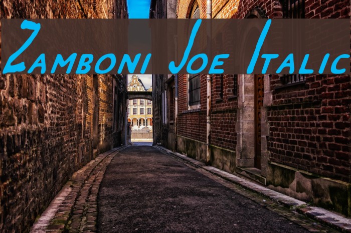 Zamboni Joe Italic Font examples