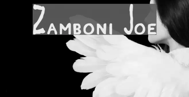 Zamboni Joe Font examples