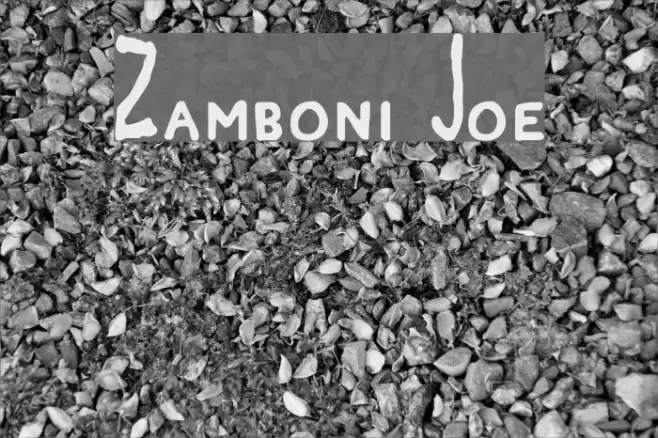 Zamboni Joe Font examples