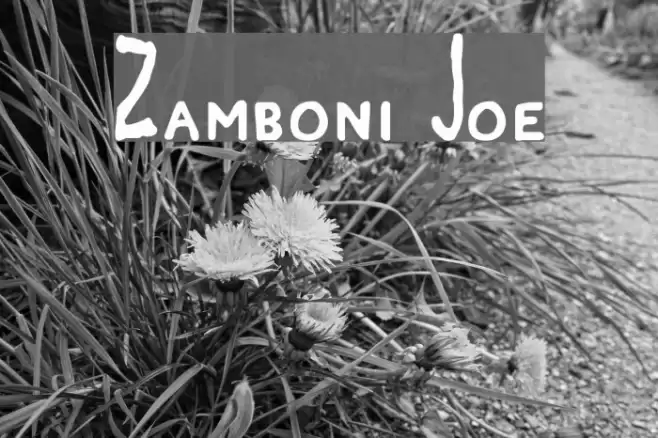 Zamboni Joe Font examples