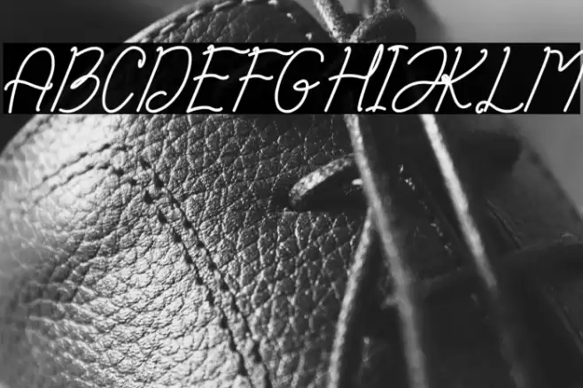 Zamilla Font examples