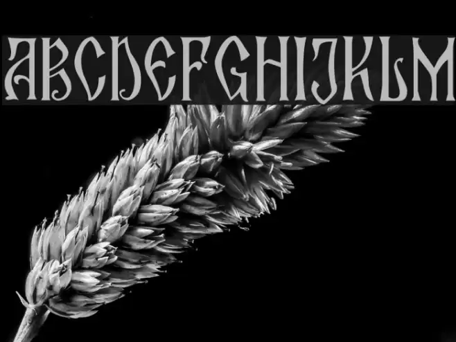 Zamolxis II Font examples