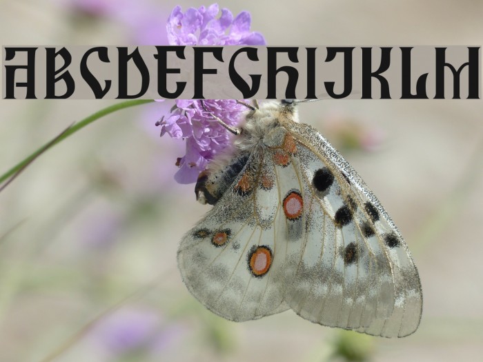 Zamolxis I Example 1