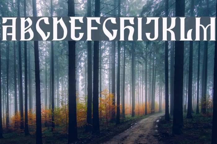 Zamolxis I Example 3