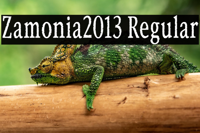 Zamonia2013 Regular Example 1