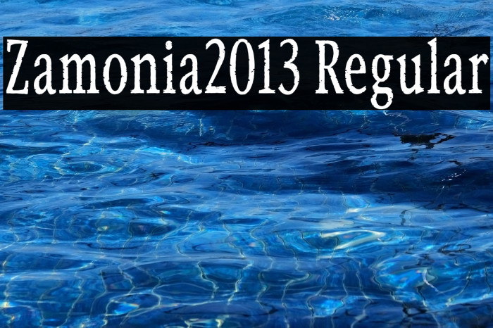 Zamonia2013 Regular Example 2