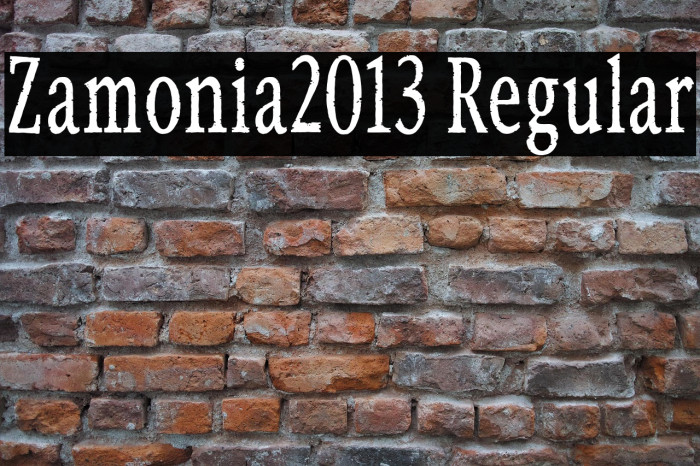 Zamonia2013 Regular Example 3