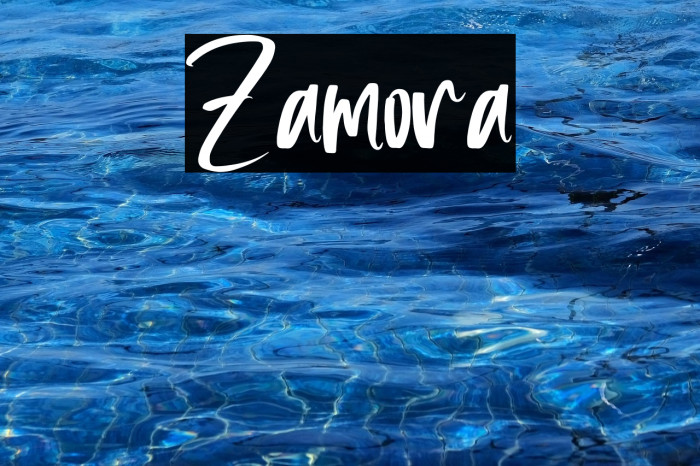 Zamora Example 1