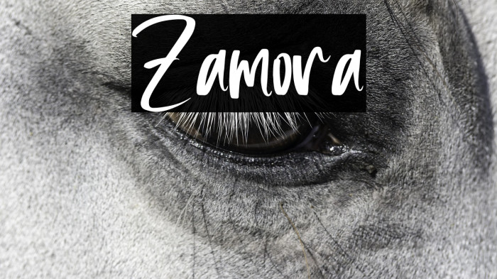 Zamora Example 2