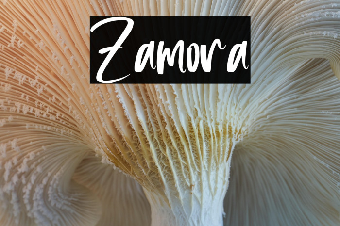 Zamora Example 3