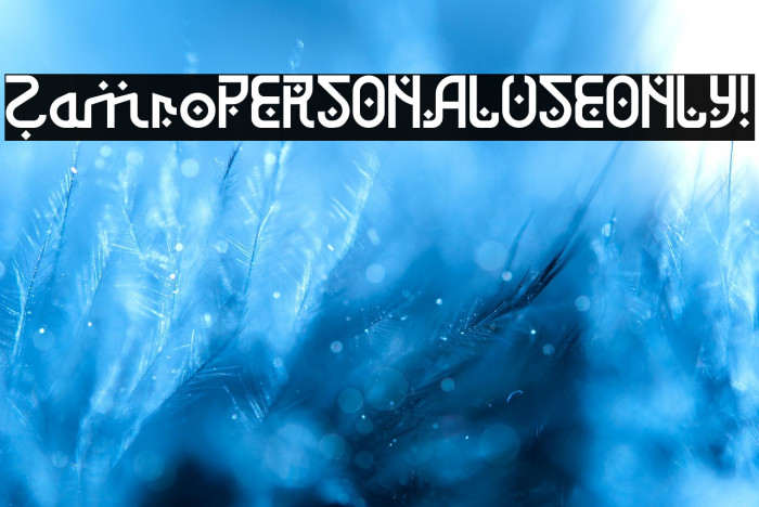 Zamro PERSONAL USE ONLY! Example 2