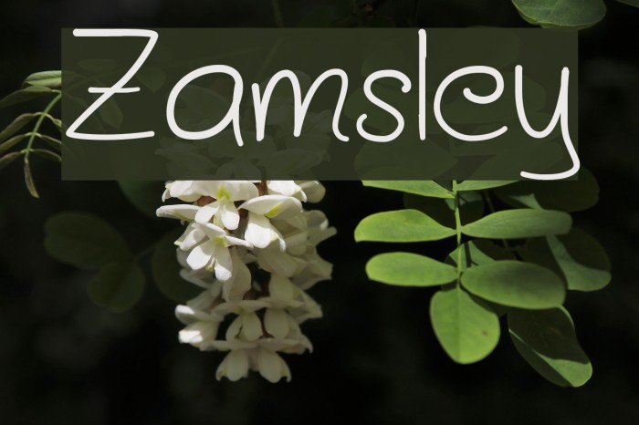 Zamsley Font examples