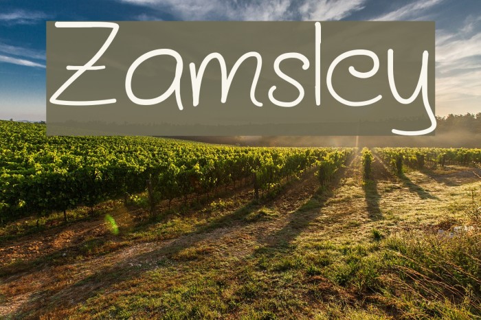 Zamsley Font examples