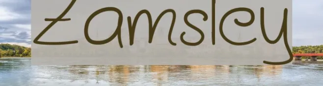 Zamsley Example 3