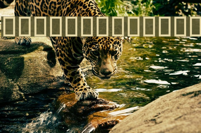 Zan Font examples