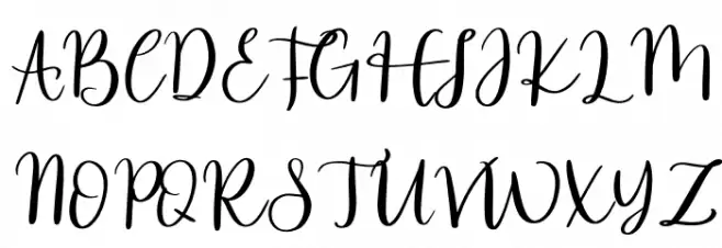 Zancook Font Litere mari