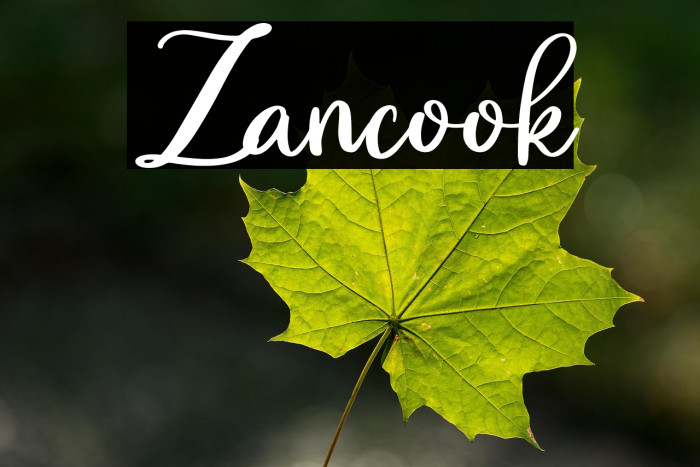Zancook Example 1