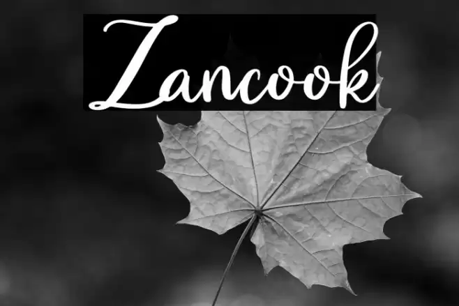 Zancook Font examples