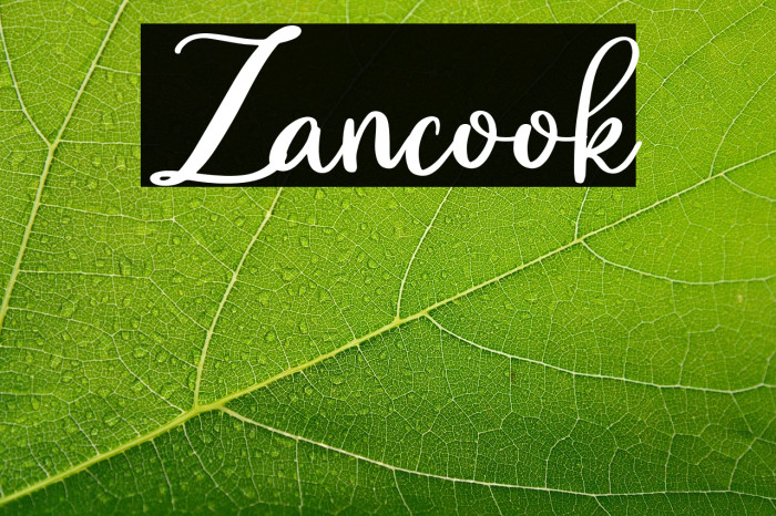 Zancook Example 2