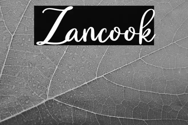 Zancook Font examples