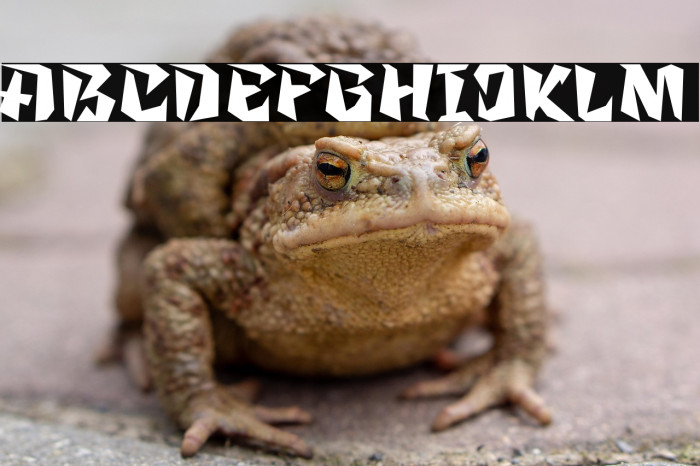 Zanden Oblique Example 2