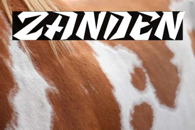 Zanden Example 1