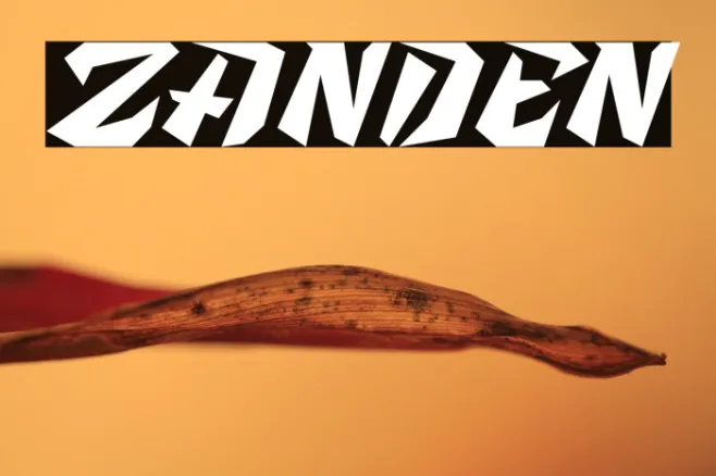 Zanden Example 2