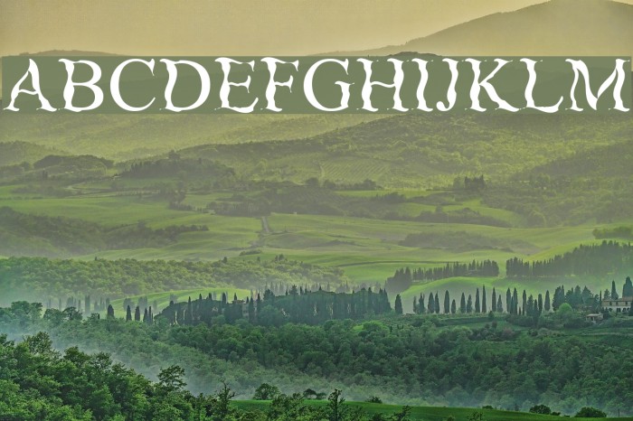 Zanes Font examples