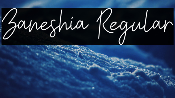 Zaneshia Regular Example 1