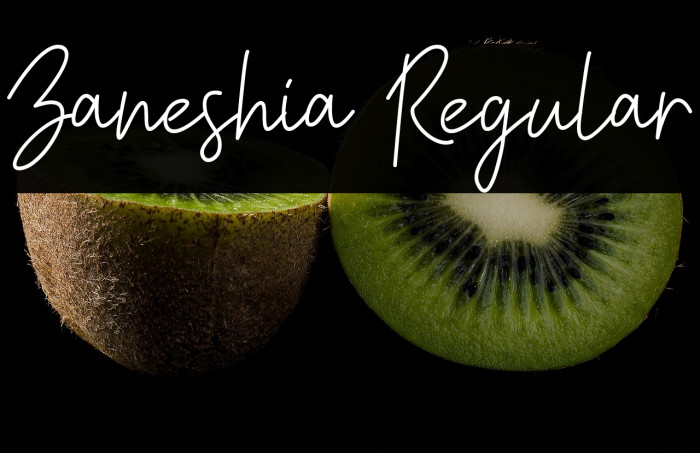 Zaneshia Regular Example 3