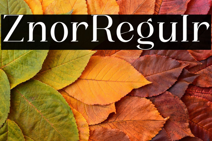 Zanor Regular Example 3